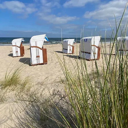 Kormoran * Ueckeritz